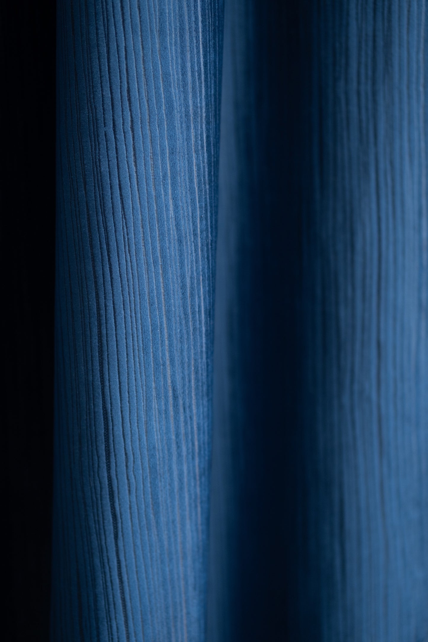 Veliūras su dryželiais