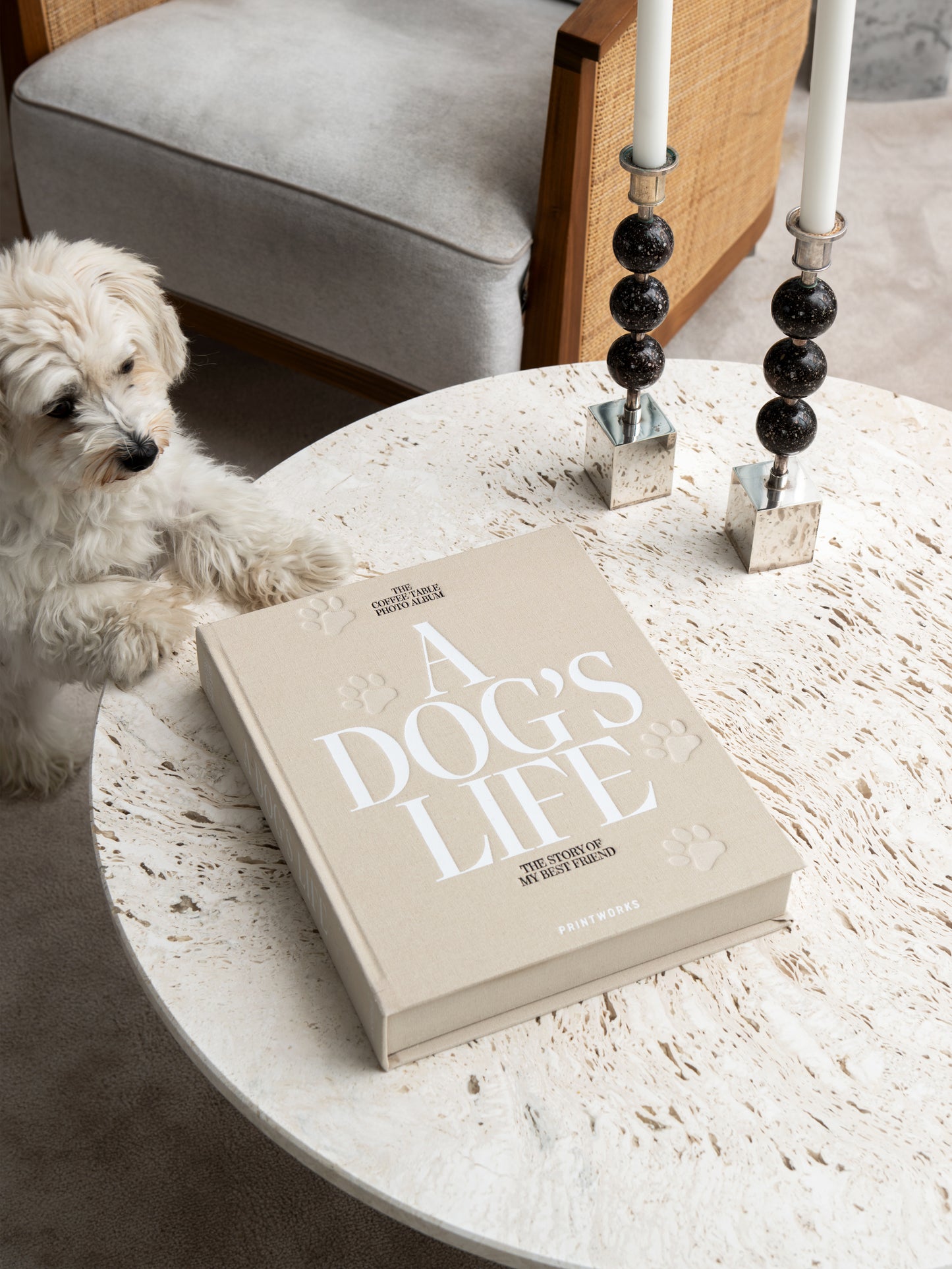 Foto albumas- A DOG'S LIFE