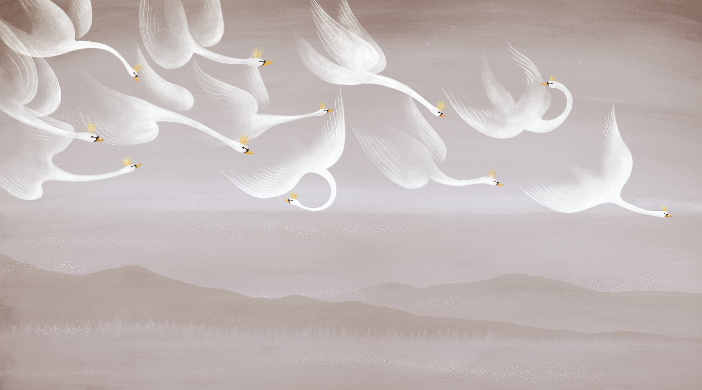 Once Cygnes Sauvages